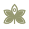 vitalbloom.co.uk